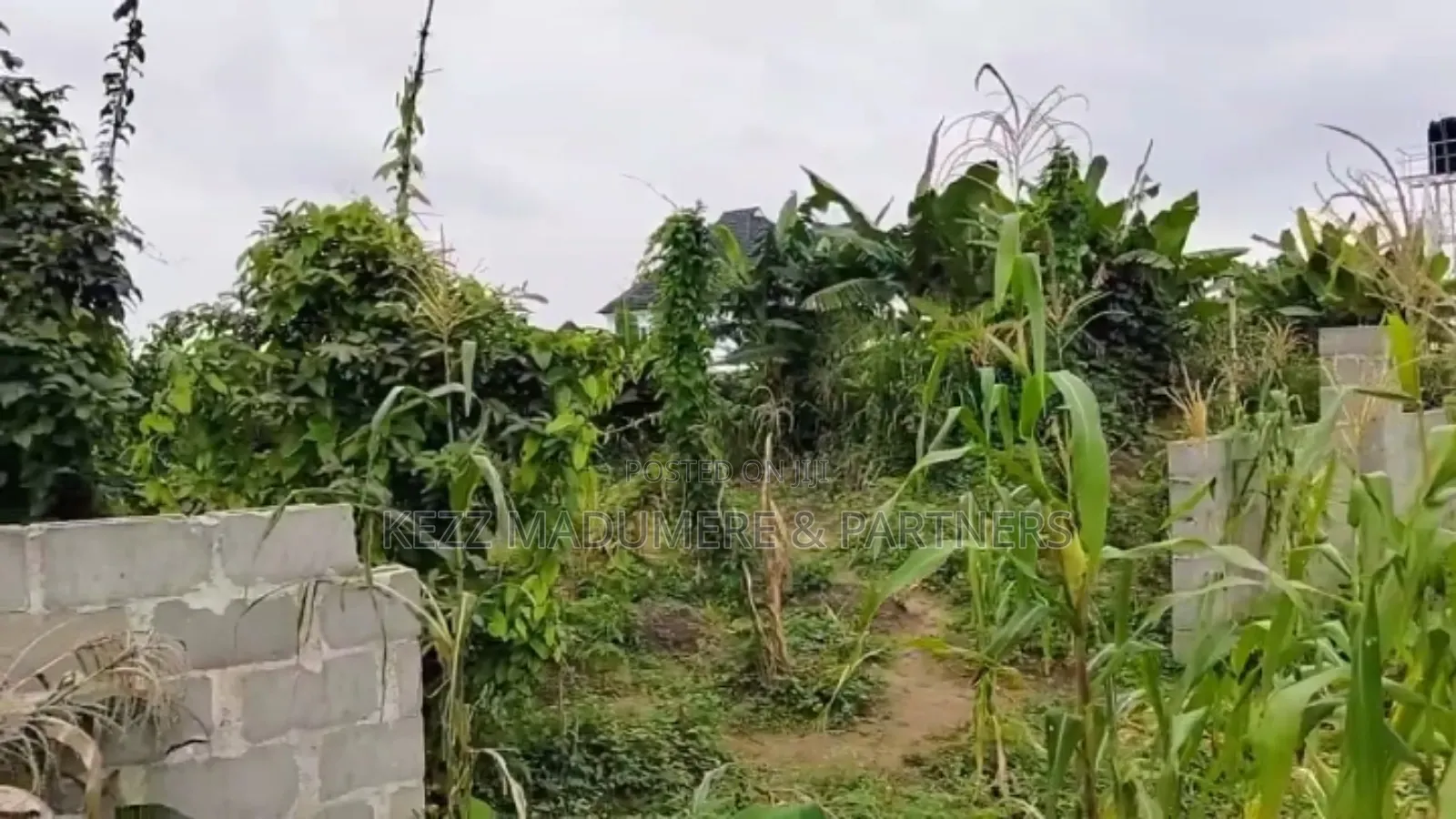 For Sale : 61⁄2 Plots on G.U.Aker Rd, Eliozu Major Rd Ph in Port-Harcourt