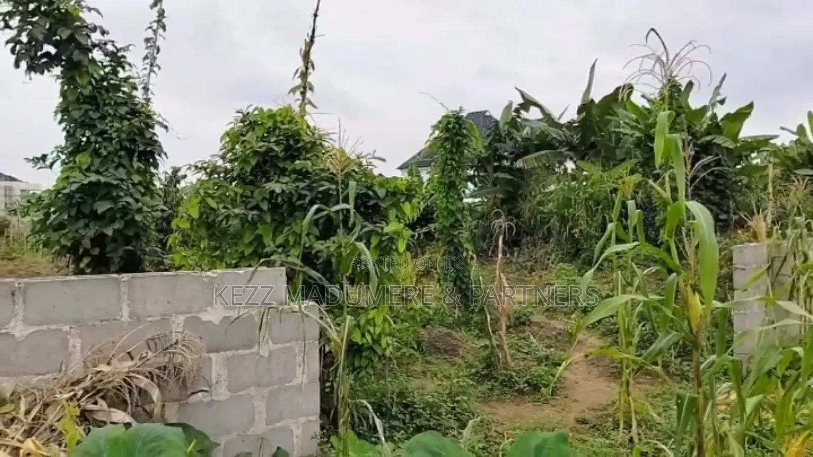 For Sale : 61⁄2 Plots on G.U.Aker Rd, Eliozu Major Rd Ph in Port-Harcourt