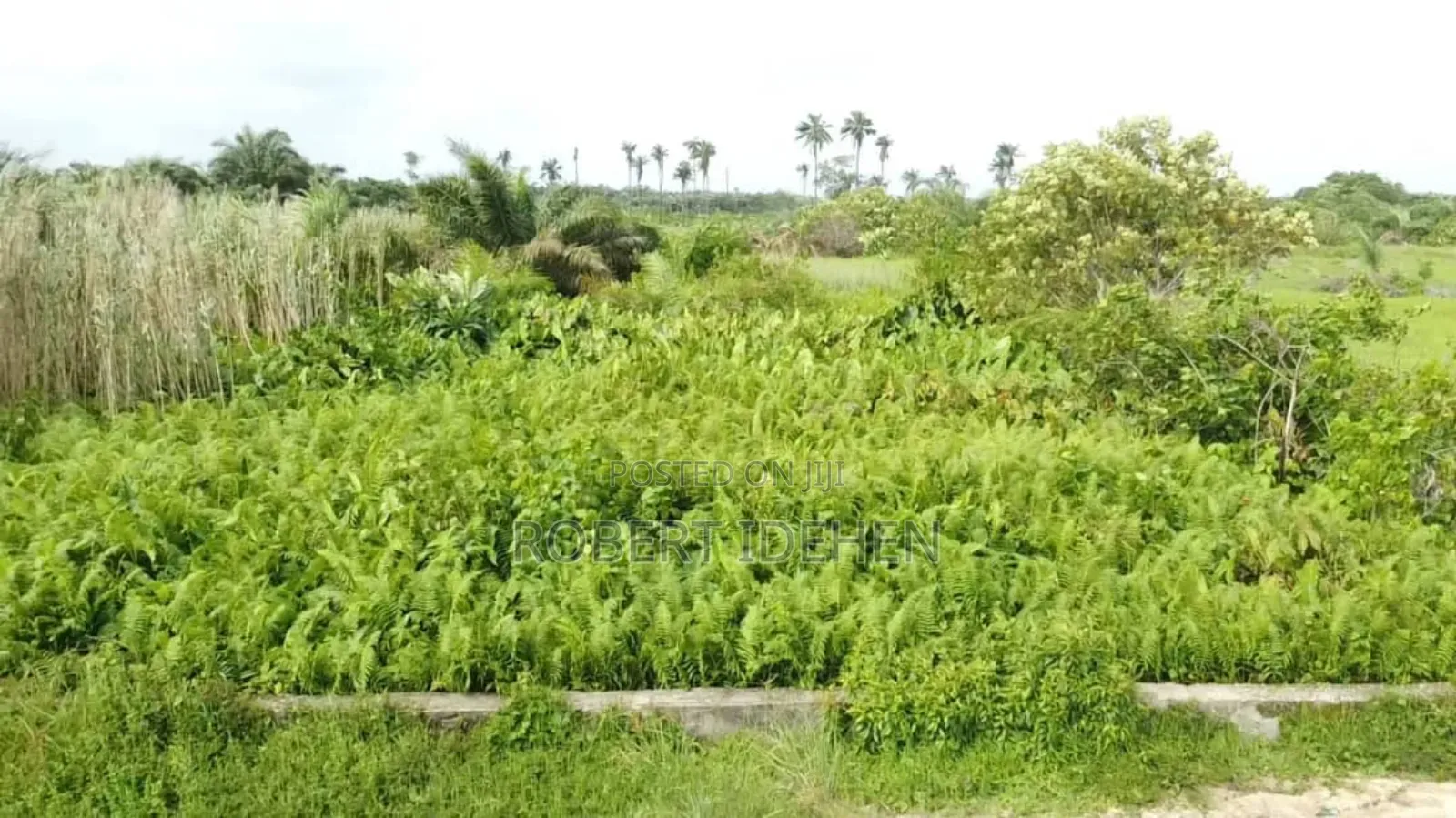 2 Acres Land Near Coastal Road in Awoyaya