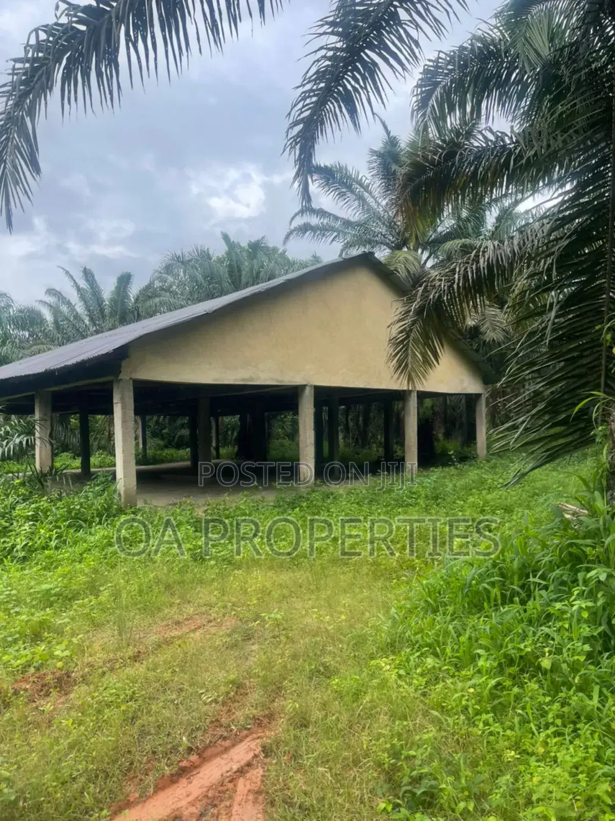 Acres of Palm Trees Land at Ijebu East,Off Benin / Ore Road in Ijebu