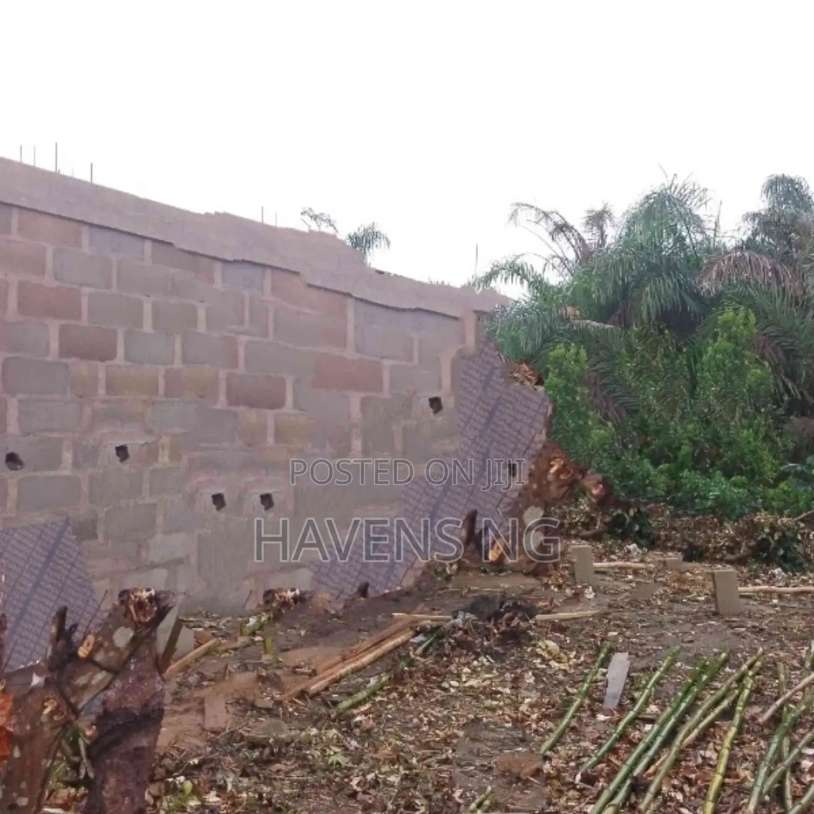 Land for Sale – Shell Cooperative, Port Harcourt in Shell Location