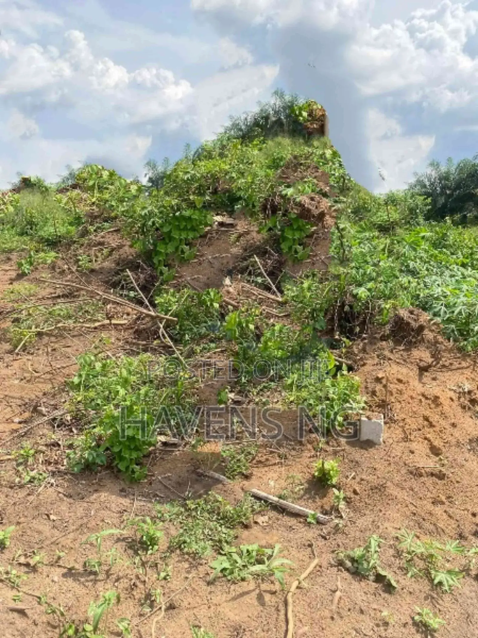 Land for Sale – Shell Cooperative, Port Harcourt in Shell Location