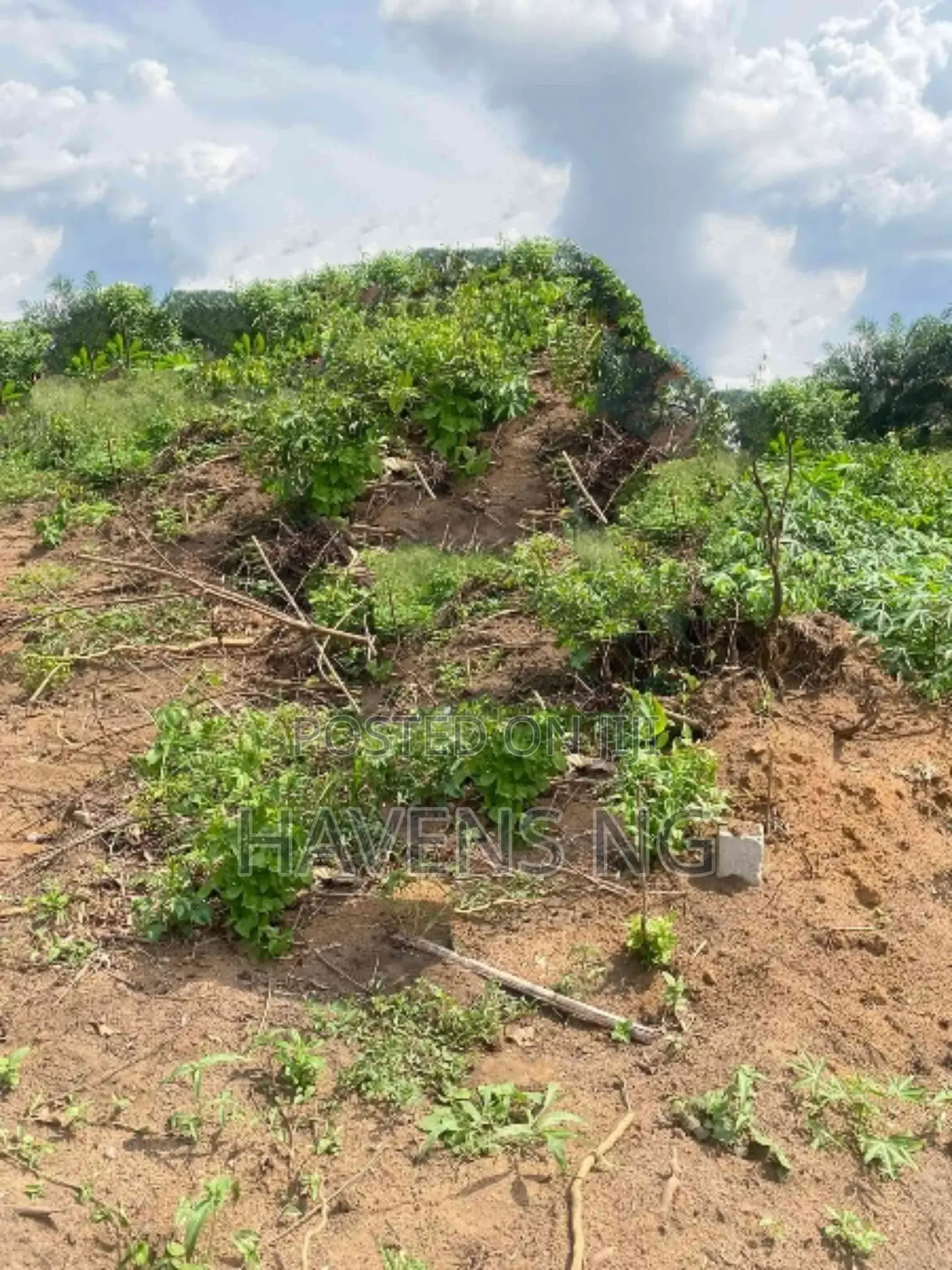 For Sale: 11⁄2 Plots of Land (748 Sqm) in Choba