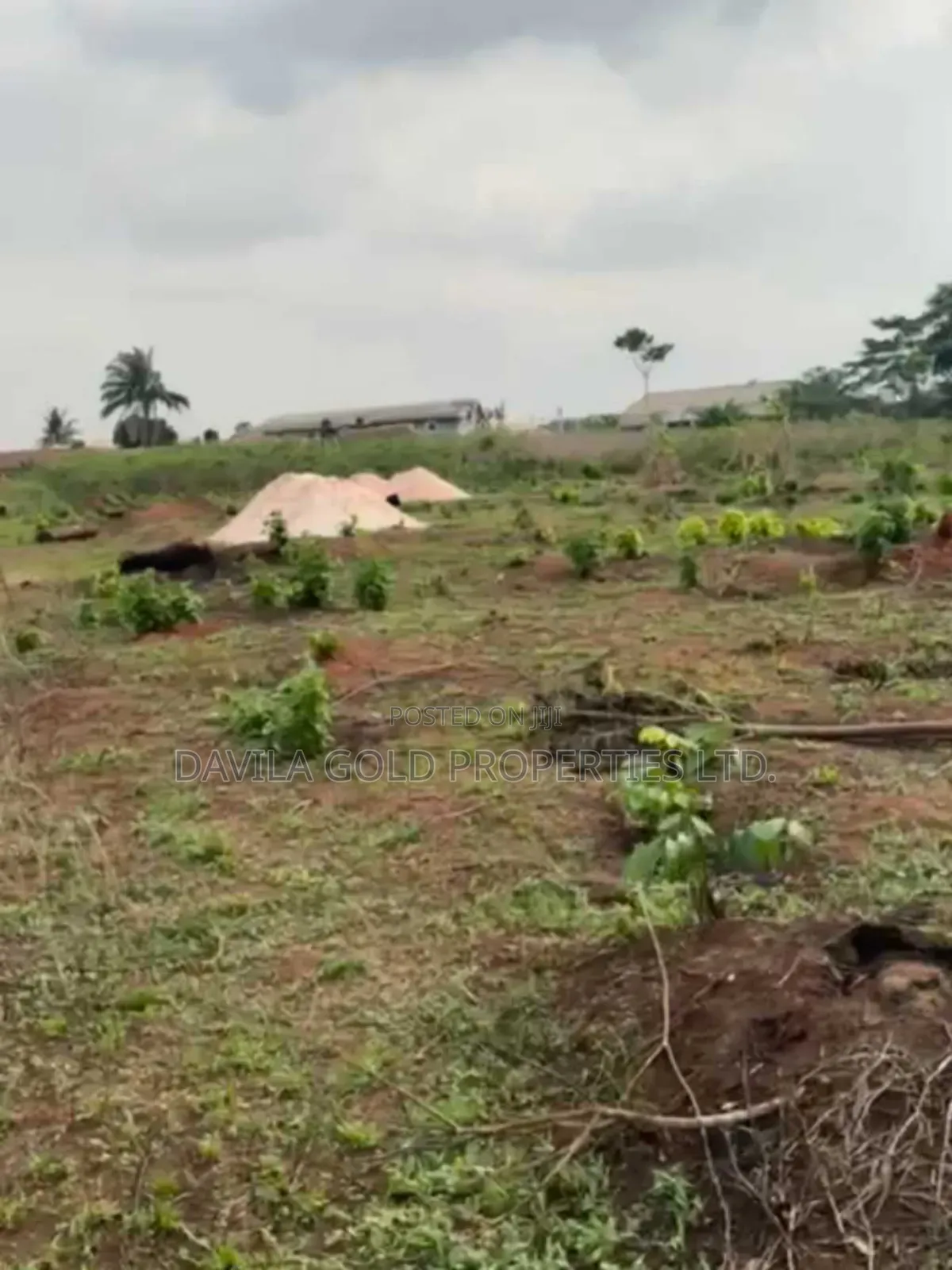 Adorable Land for Sale in Benin City