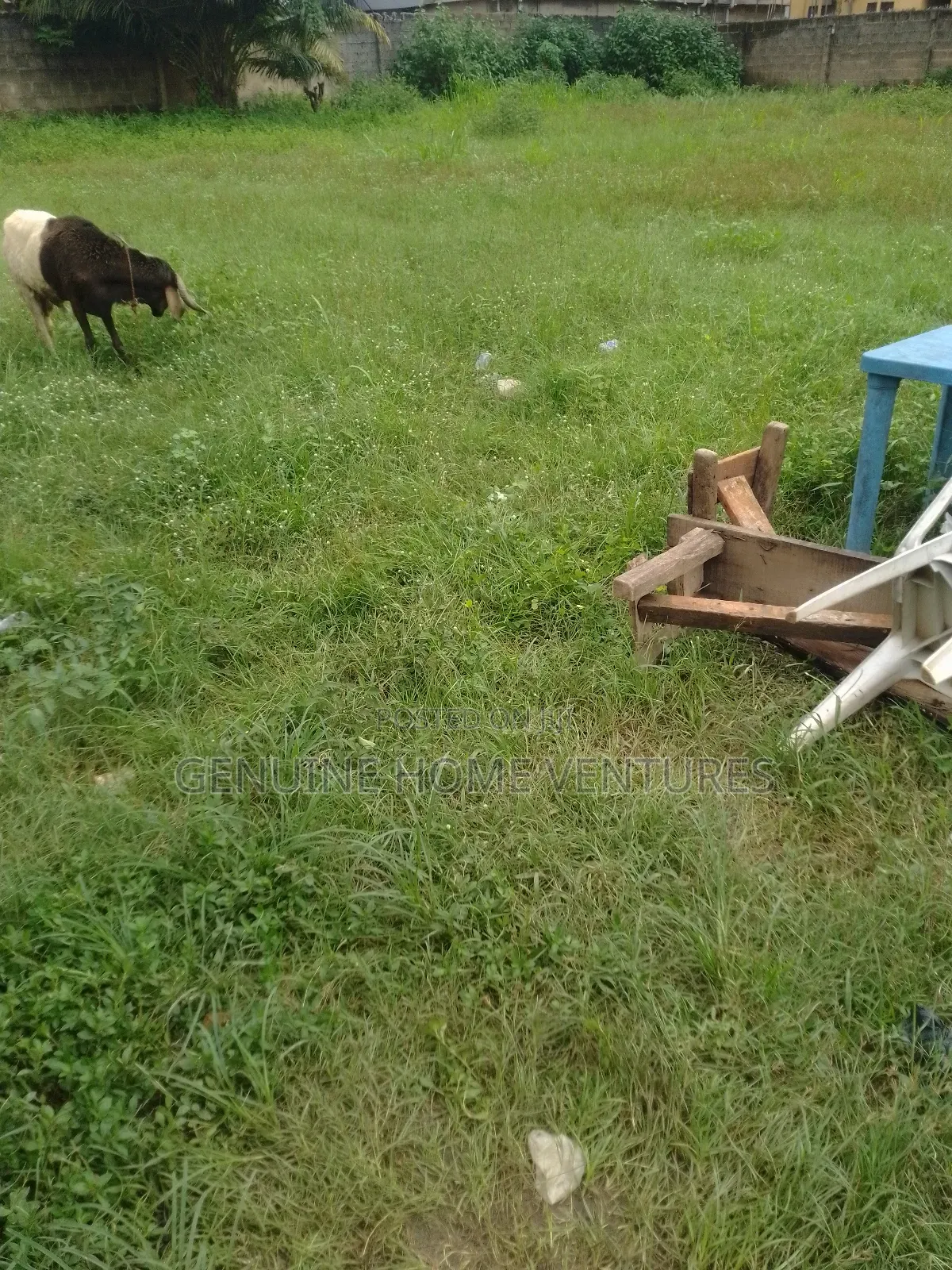 Genuine Plot of Land in Asaba for Sale in Aniocha South
