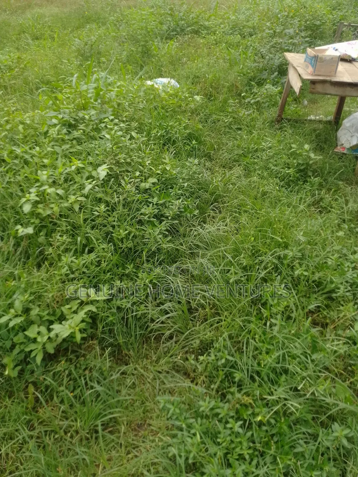 Genuine Plot of Land in Asaba for Sale in Aniocha South