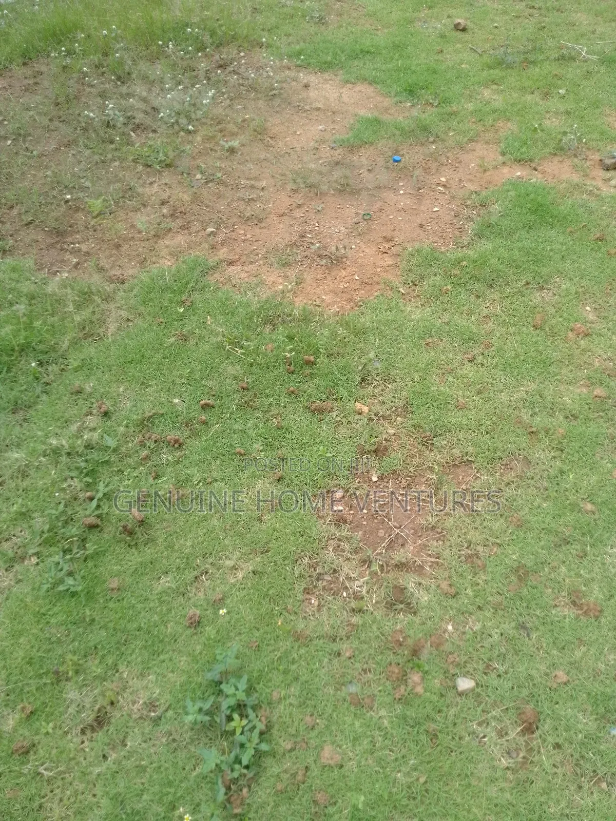 Land for Sale in Ogbeozoma Asaba in Oshimili North