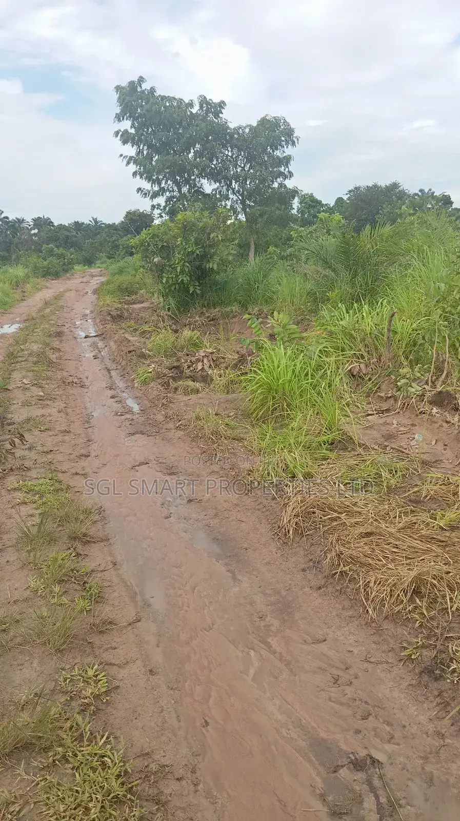 More Than 8 Plots for Sale at Isiagu in Awka