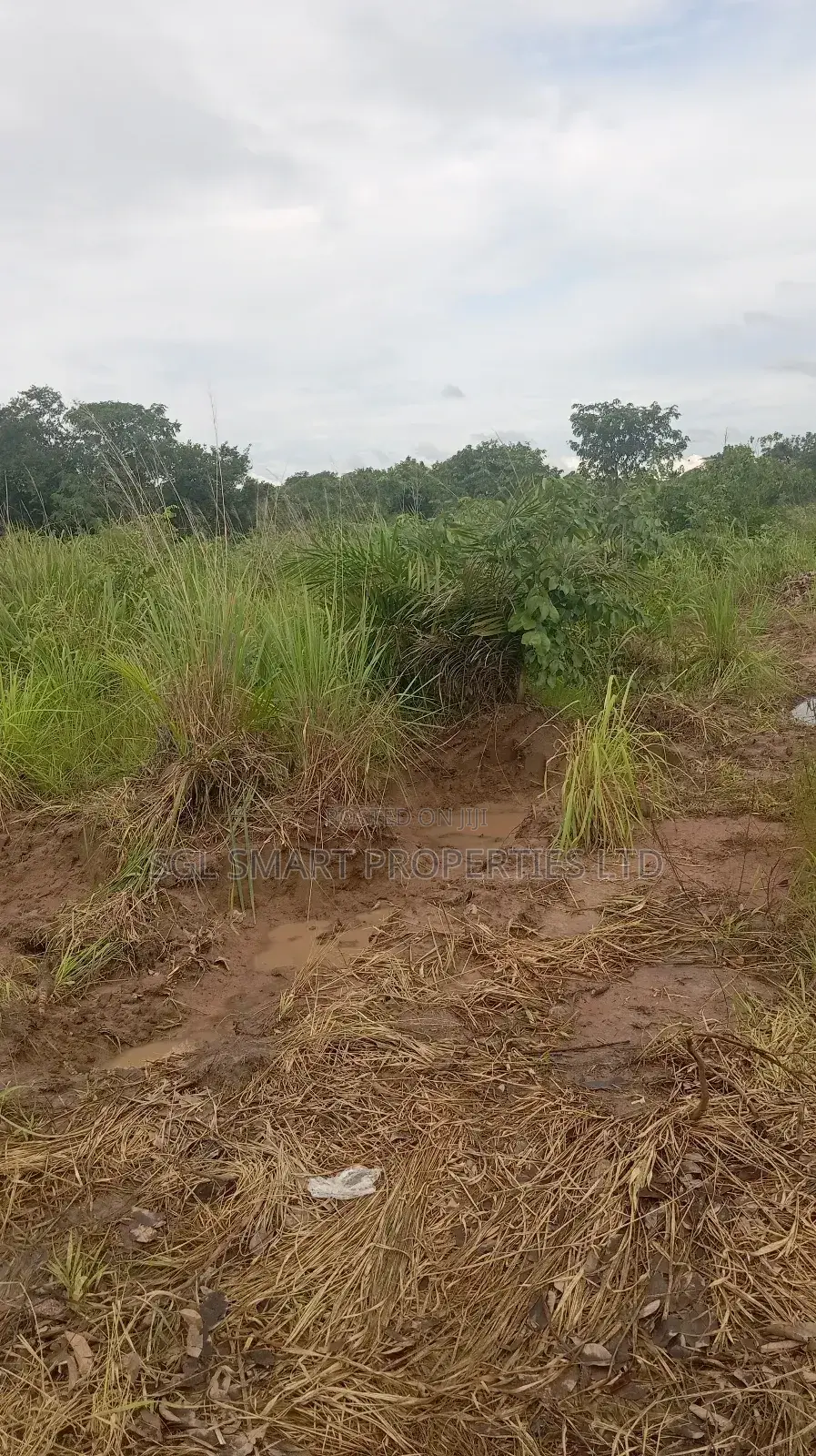More Than 8 Plots for Sale at Isiagu in Awka