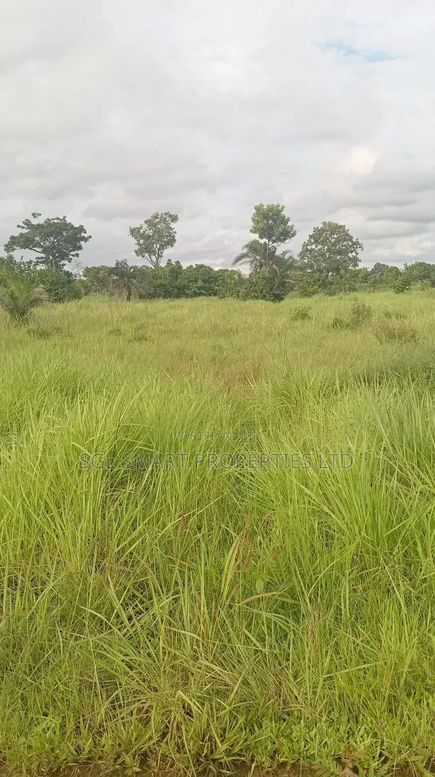 12 Plots of Land for Sale at Isiagu for Sale in Awka