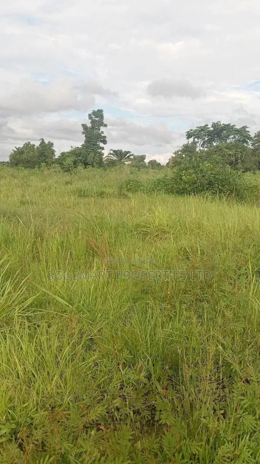 12 Plots of Land for Sale at Isiagu for Sale in Awka