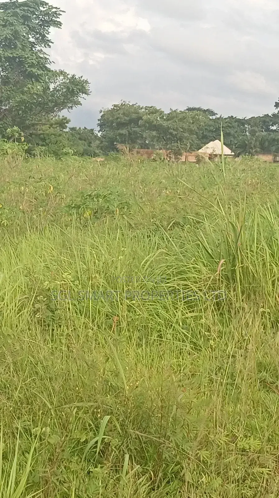 12 Plots of Land for Sale at Isiagu for Sale in Awka