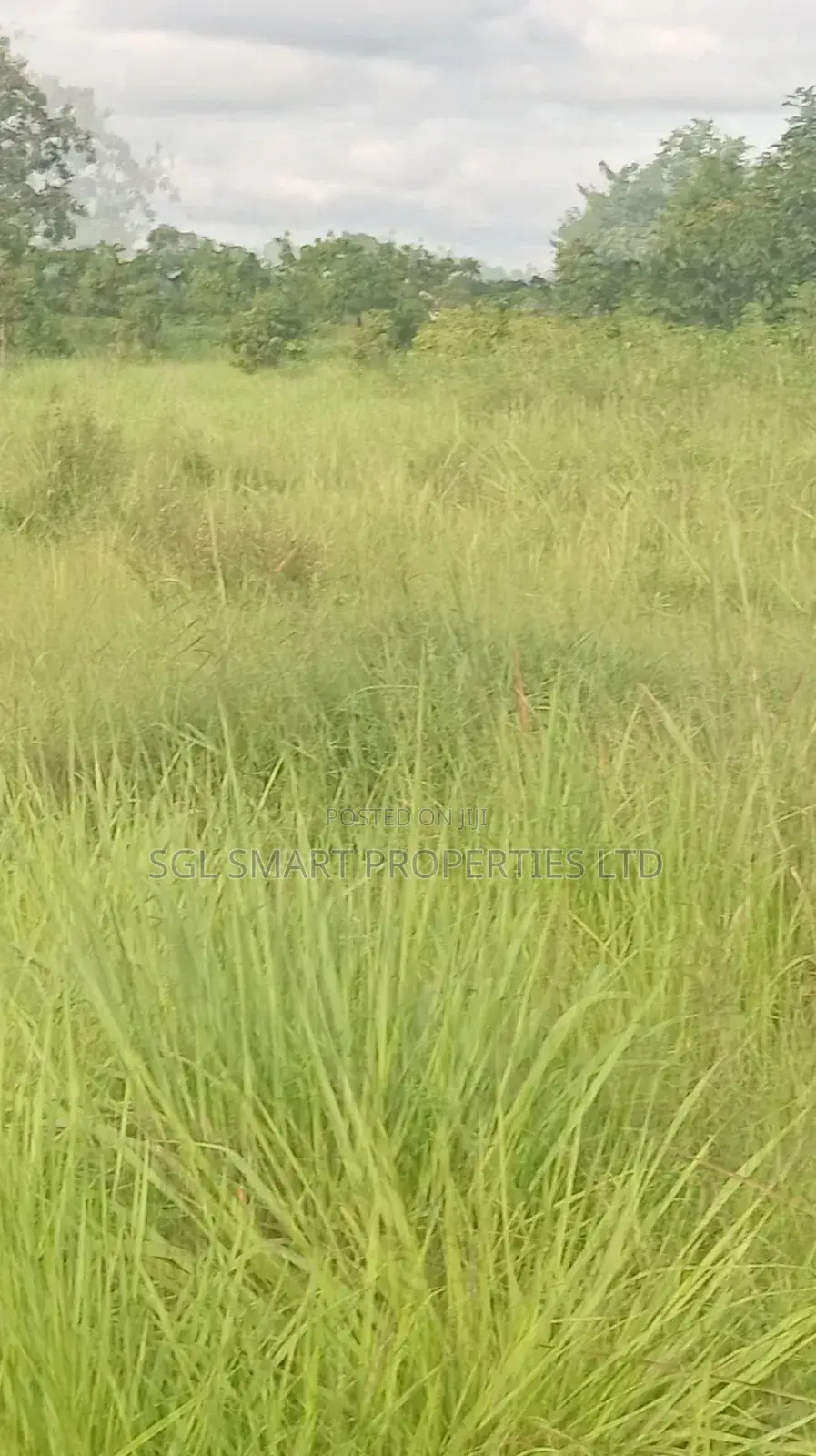 12 Plots of Land for Sale at Isiagu for Sale in Awka