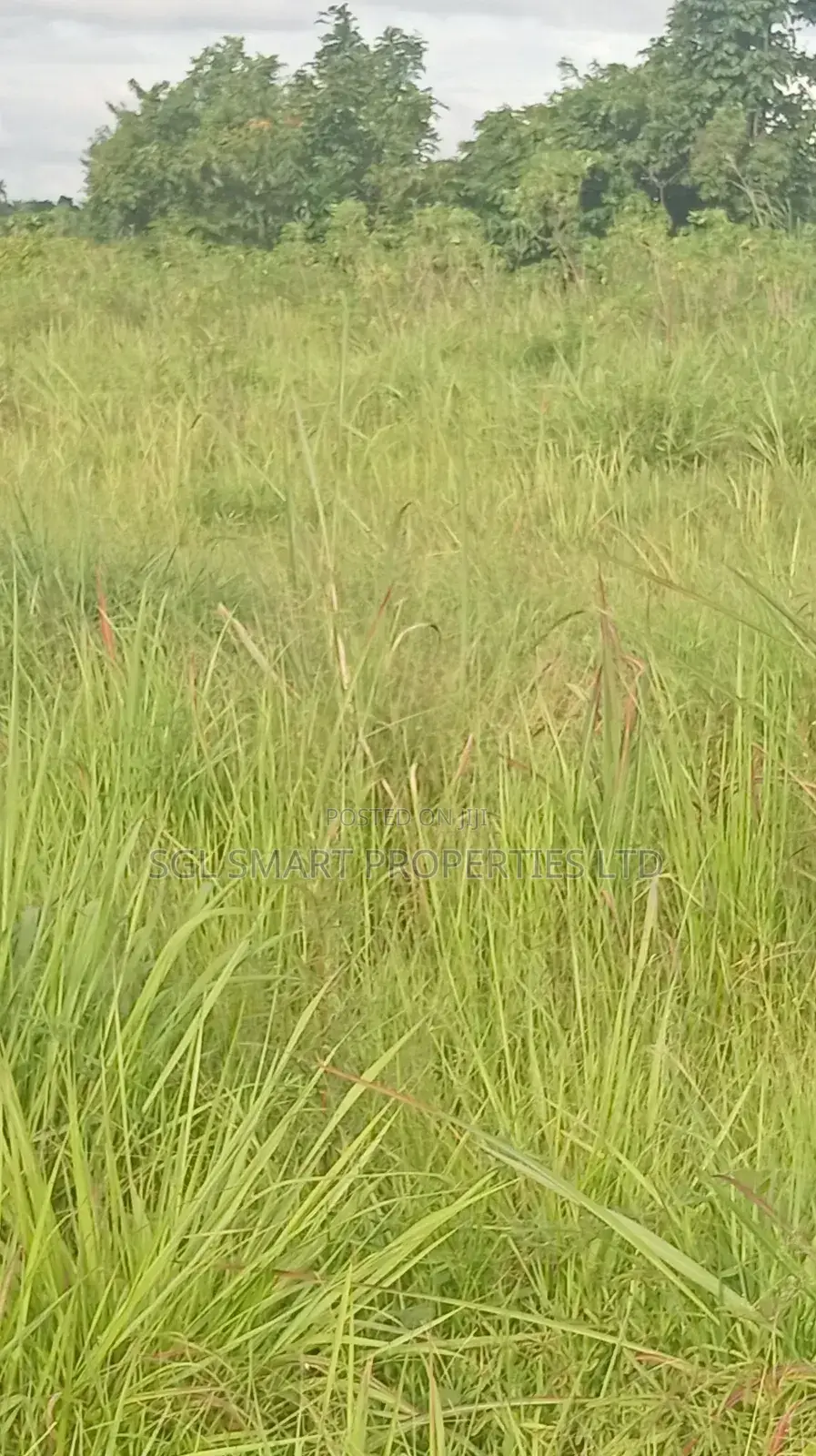 12 Plots of Land for Sale at Isiagu for Sale in Awka