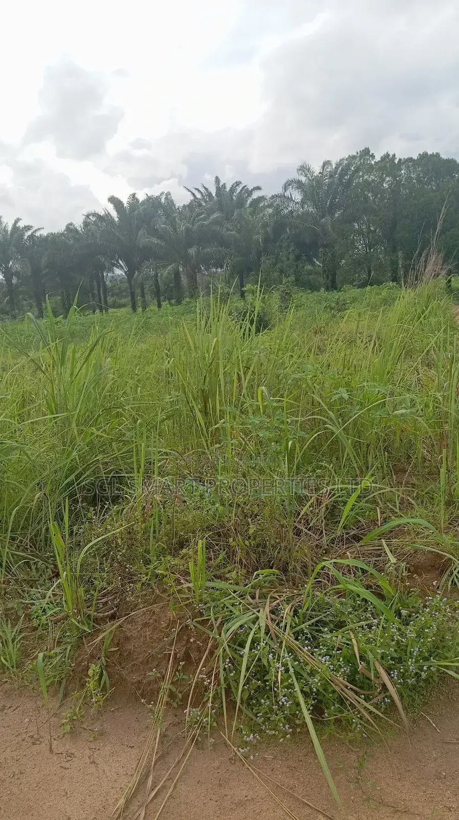 5 Plots of Land for Sale at Isiagu in Awka