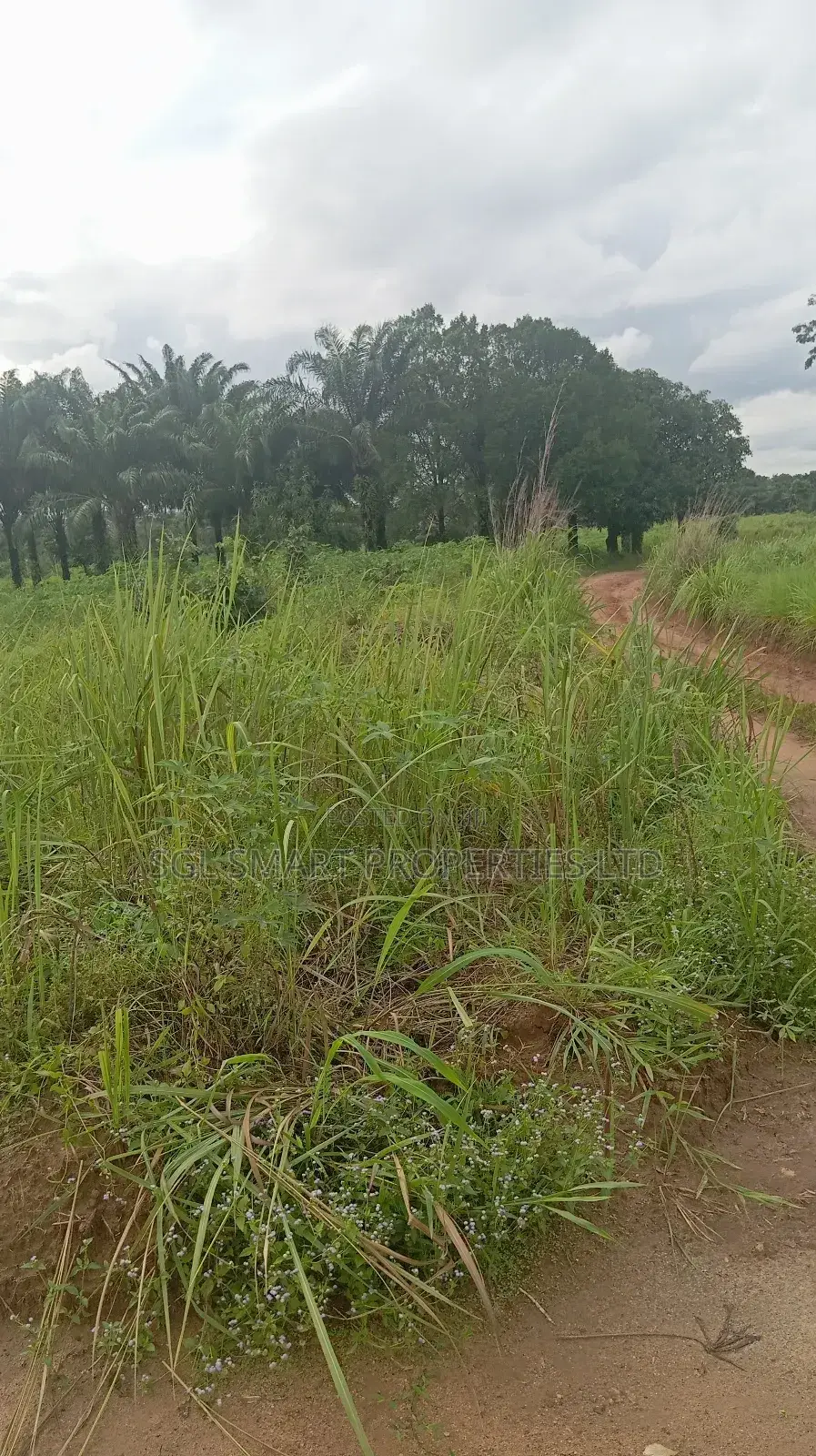 5 Plots of Land for Sale at Isiagu in Awka