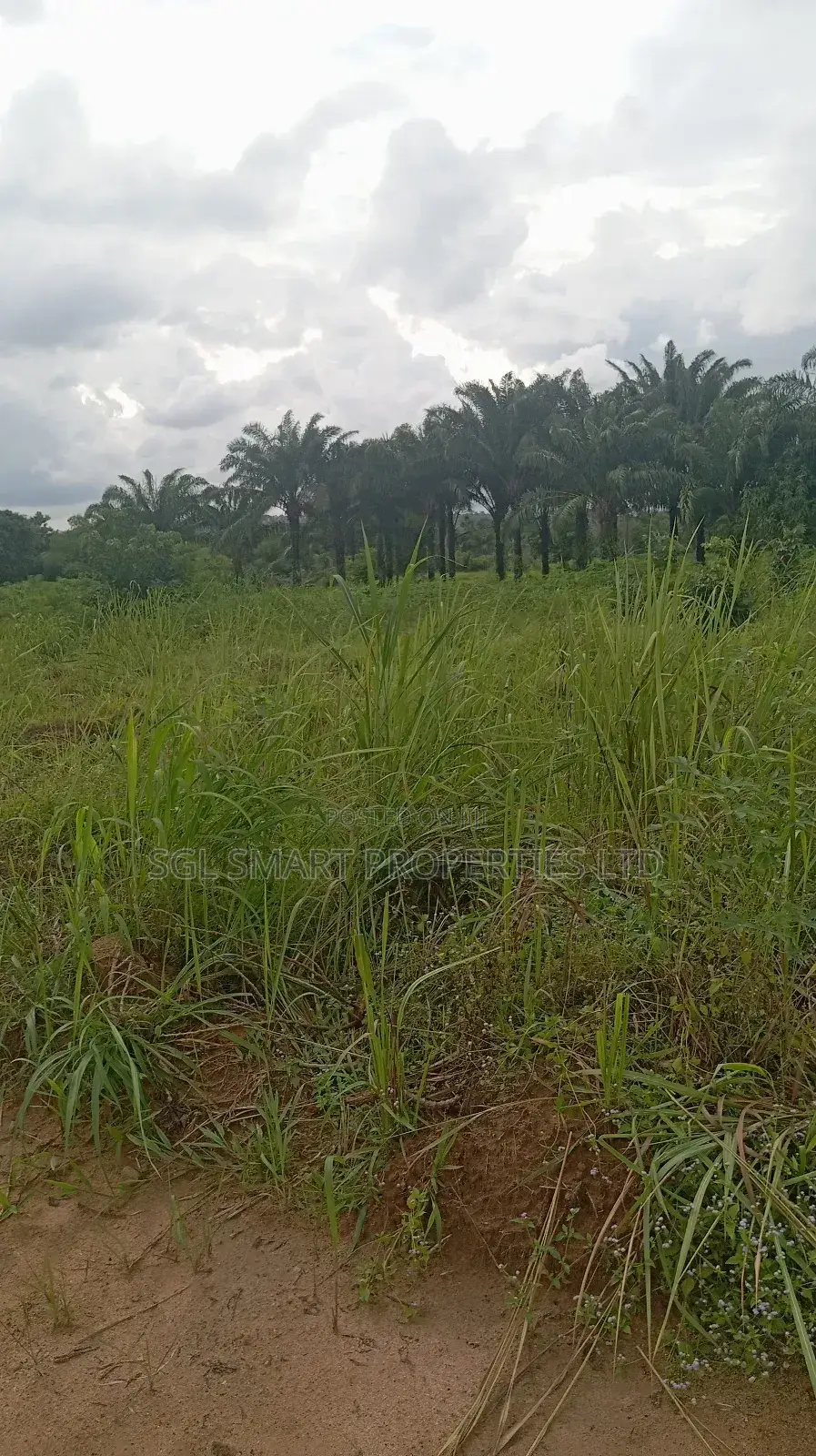 5 Plots of Land for Sale at Isiagu in Awka