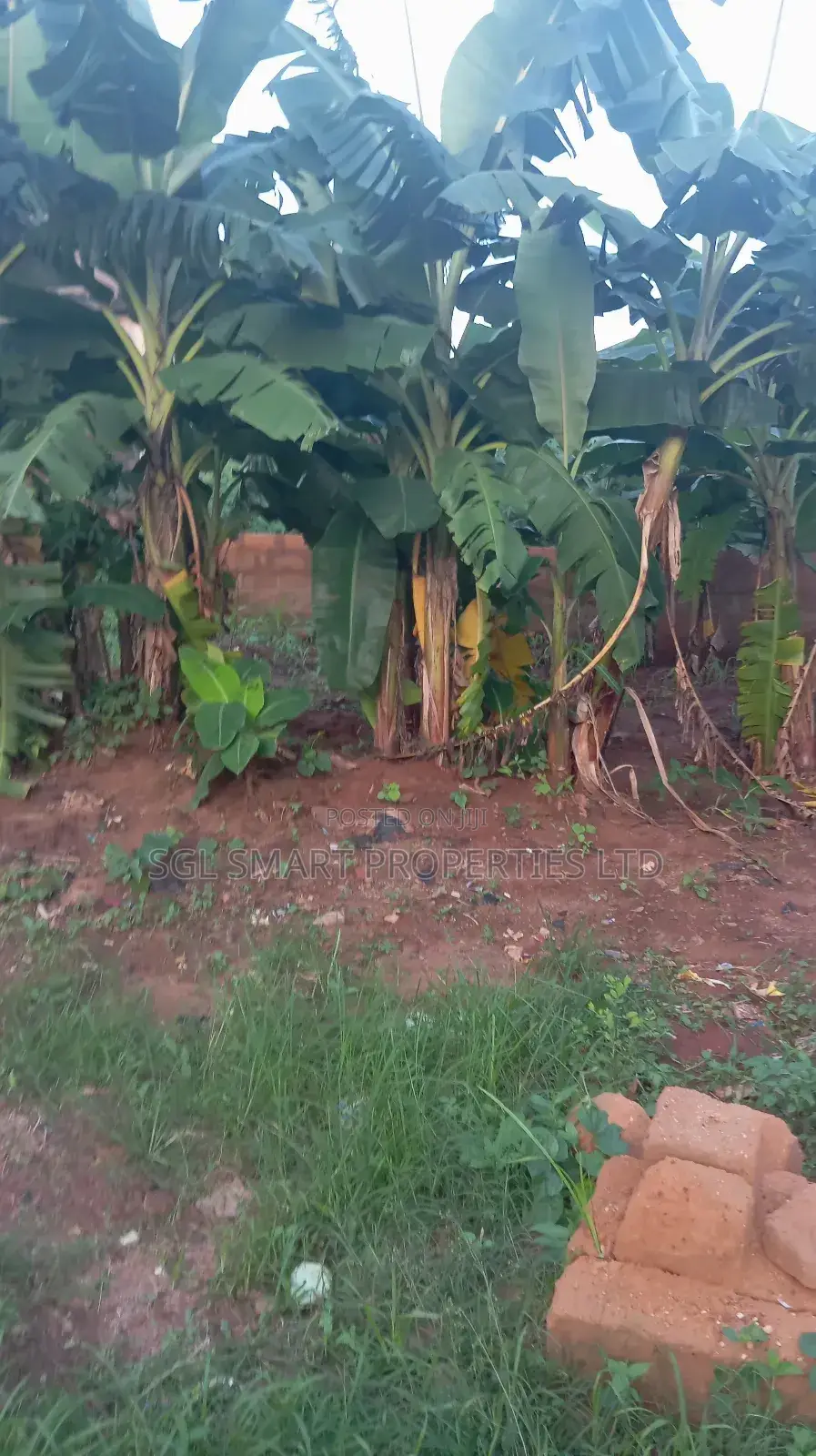 2 Plots of Land for Sale at Isiagu in Awka