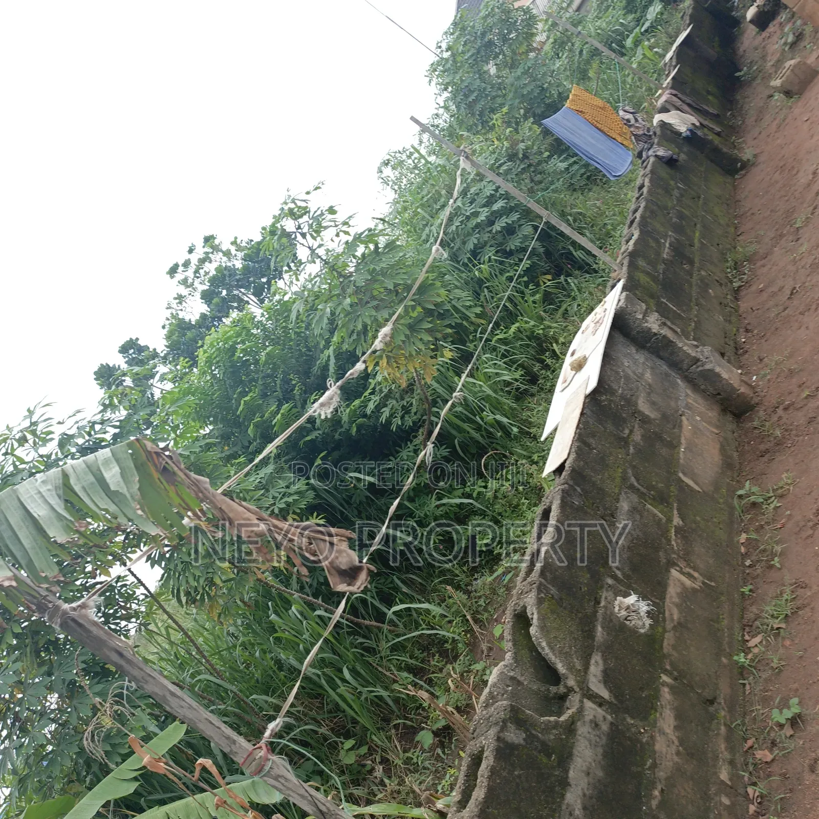 Family Deed Mav J in Igbogbo