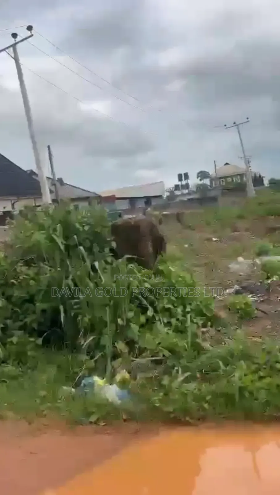 An Atrractive Land for Sale in Benin City