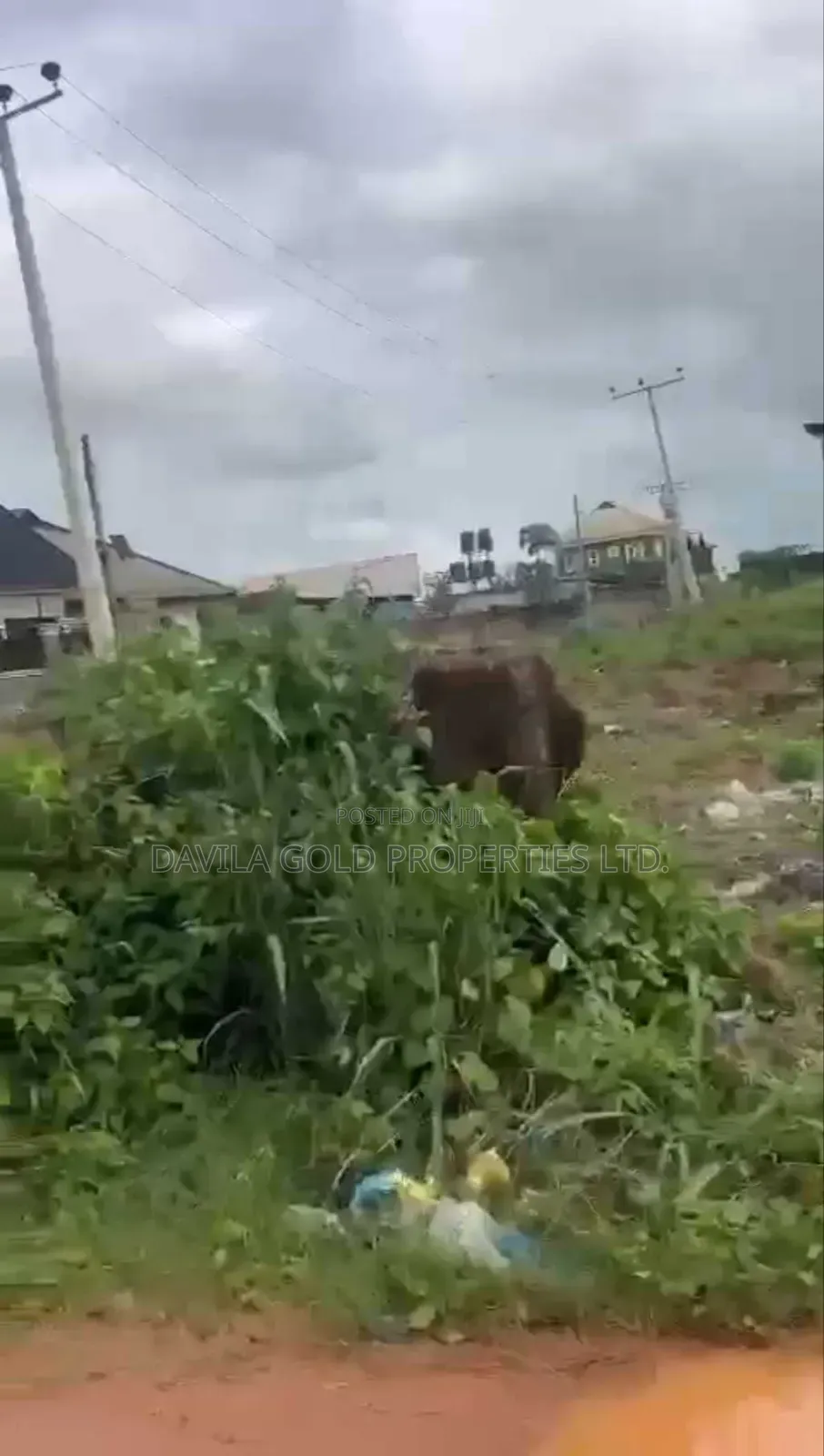 An Atrractive Land for Sale in Benin City