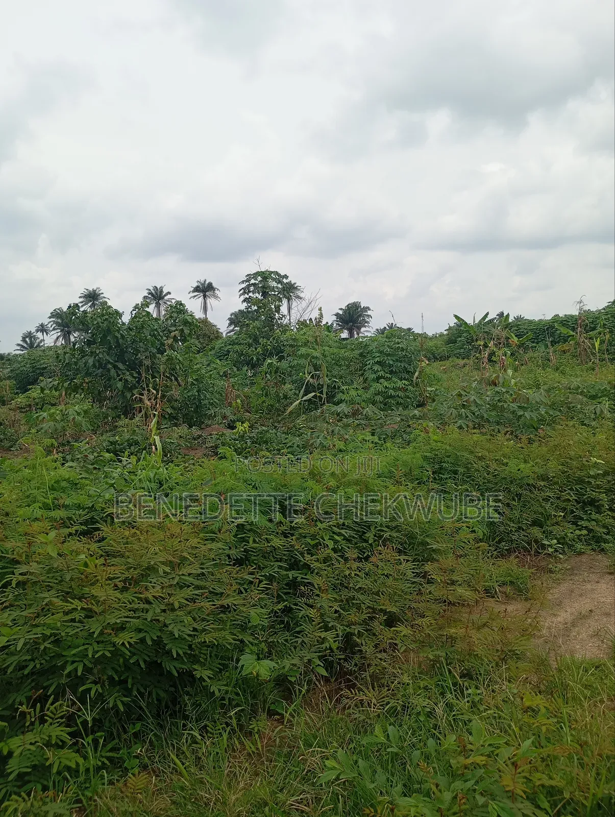 For Sale: Four Plots in Port-Harcourt