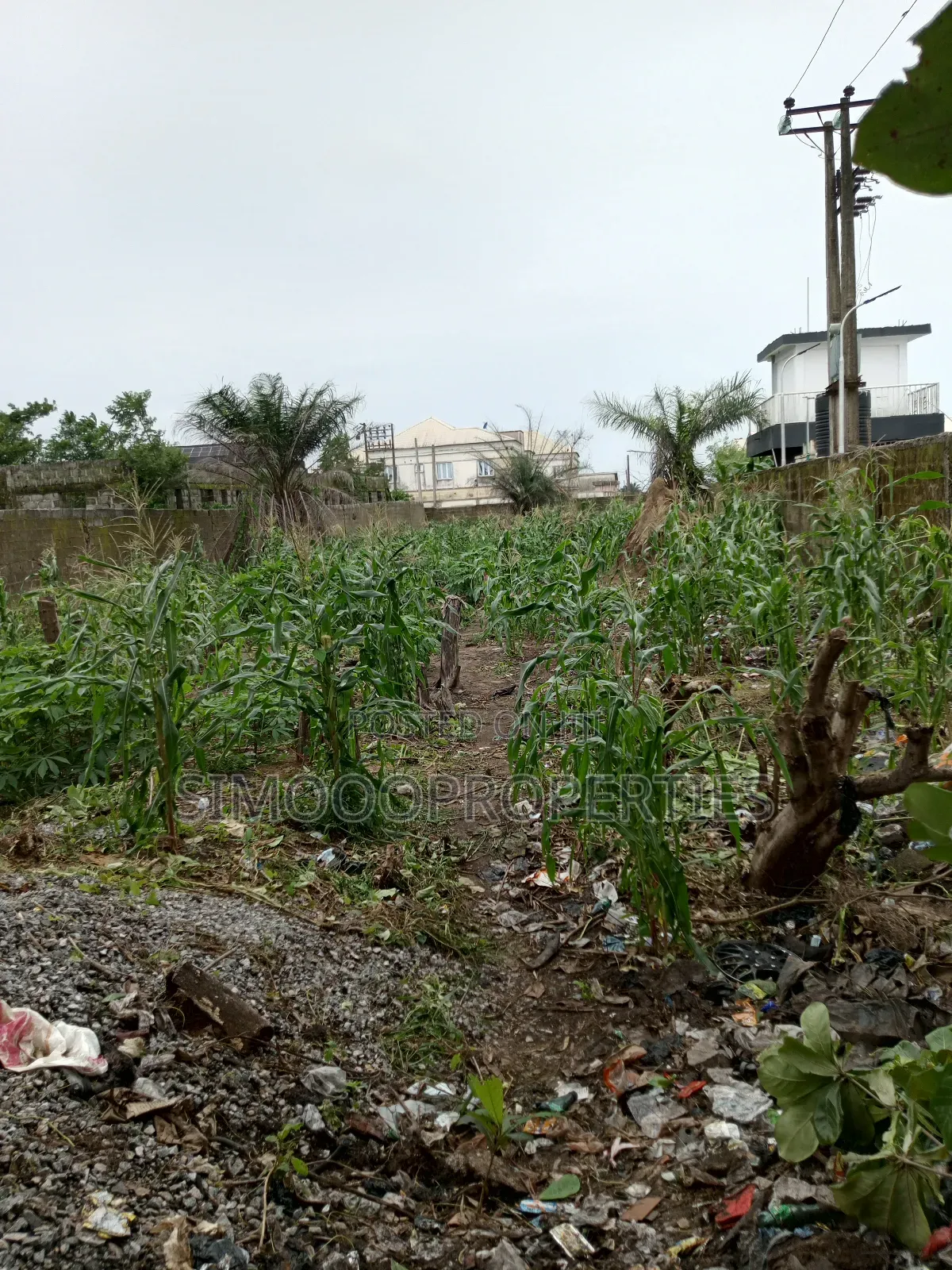 2plots of Facing Express Land for Sale in Igando-Oloja