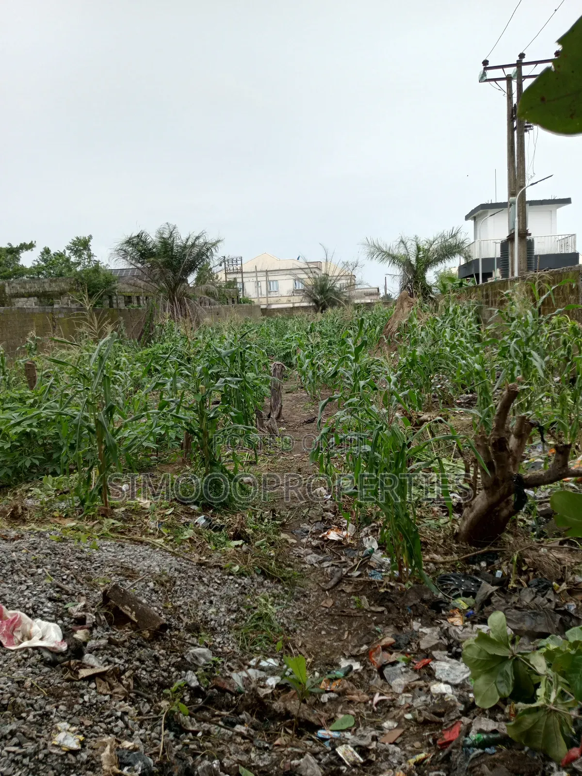 2plots of Facing Express Land for Sale in Igando-Oloja