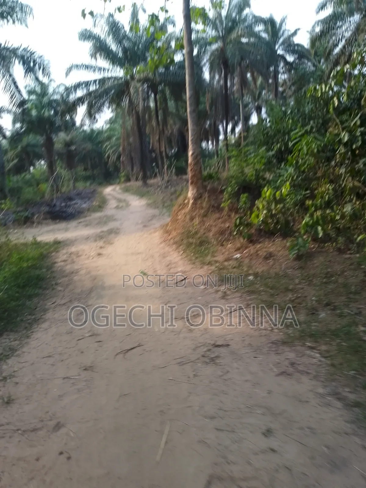 Genuine Mass Land for Sale in Port-Harcourt
