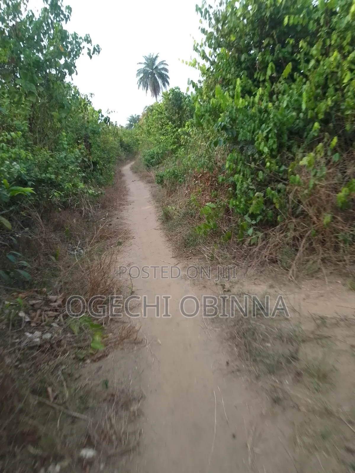 Genuine Mass Land for Sale in Port-Harcourt