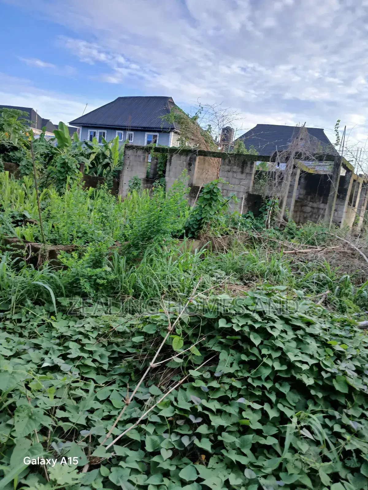 One and Half Plot of Land in Valley View Estate in Alimosho