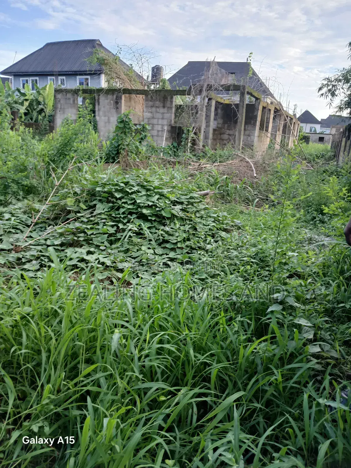 One and Half Plot of Land in Valley View Estate in Alimosho