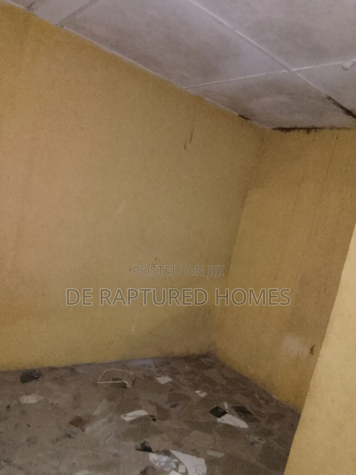 Mini Flat in Ayobo for rent in Ayobo