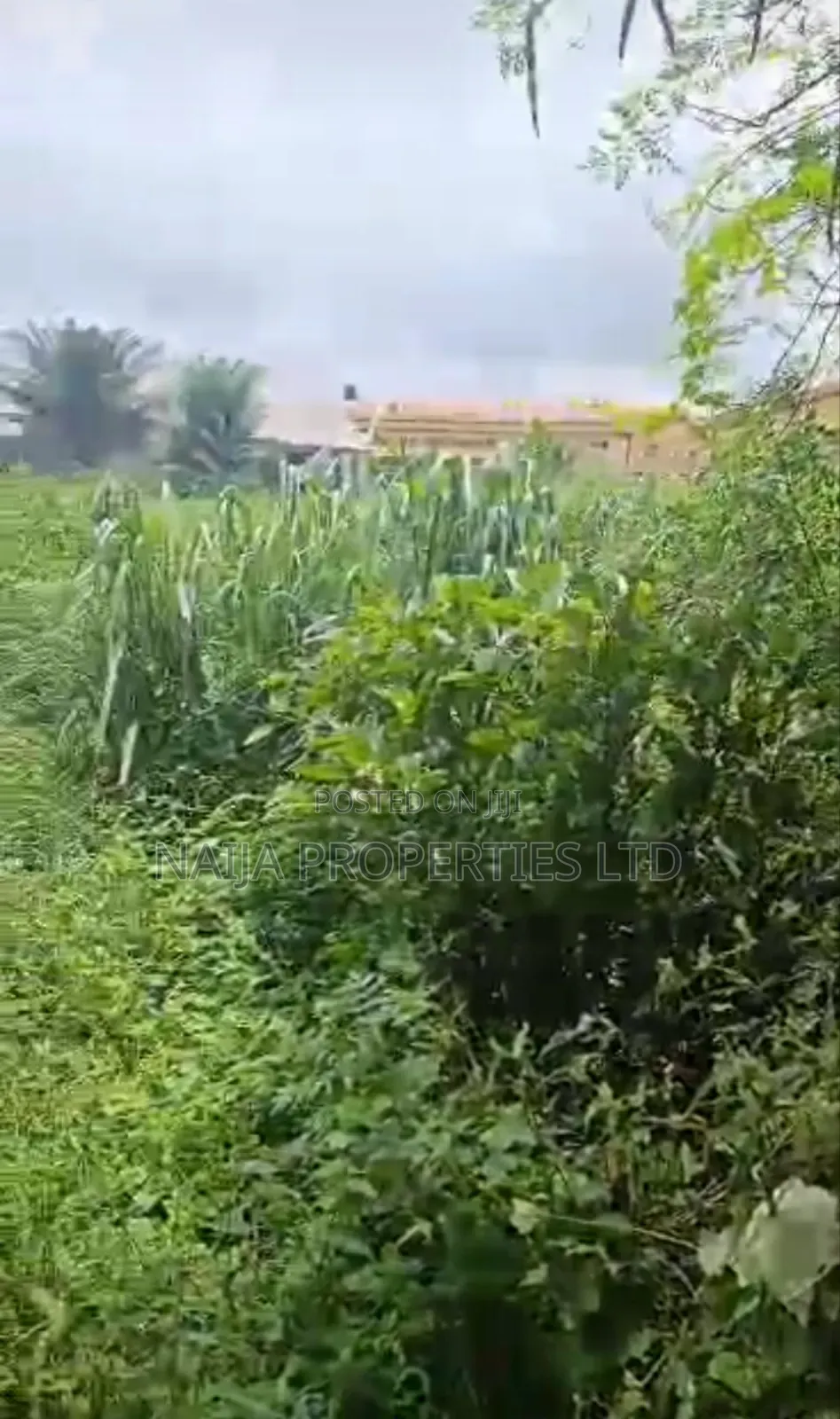 6 Plots of Land in Balogun Estate, Sangotedo for Sale in Sangotedo