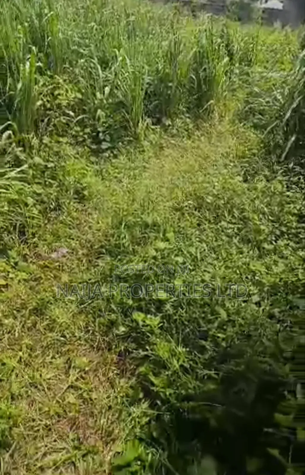 6 Plots of Land in Balogun Estate, Sangotedo for Sale in Sangotedo