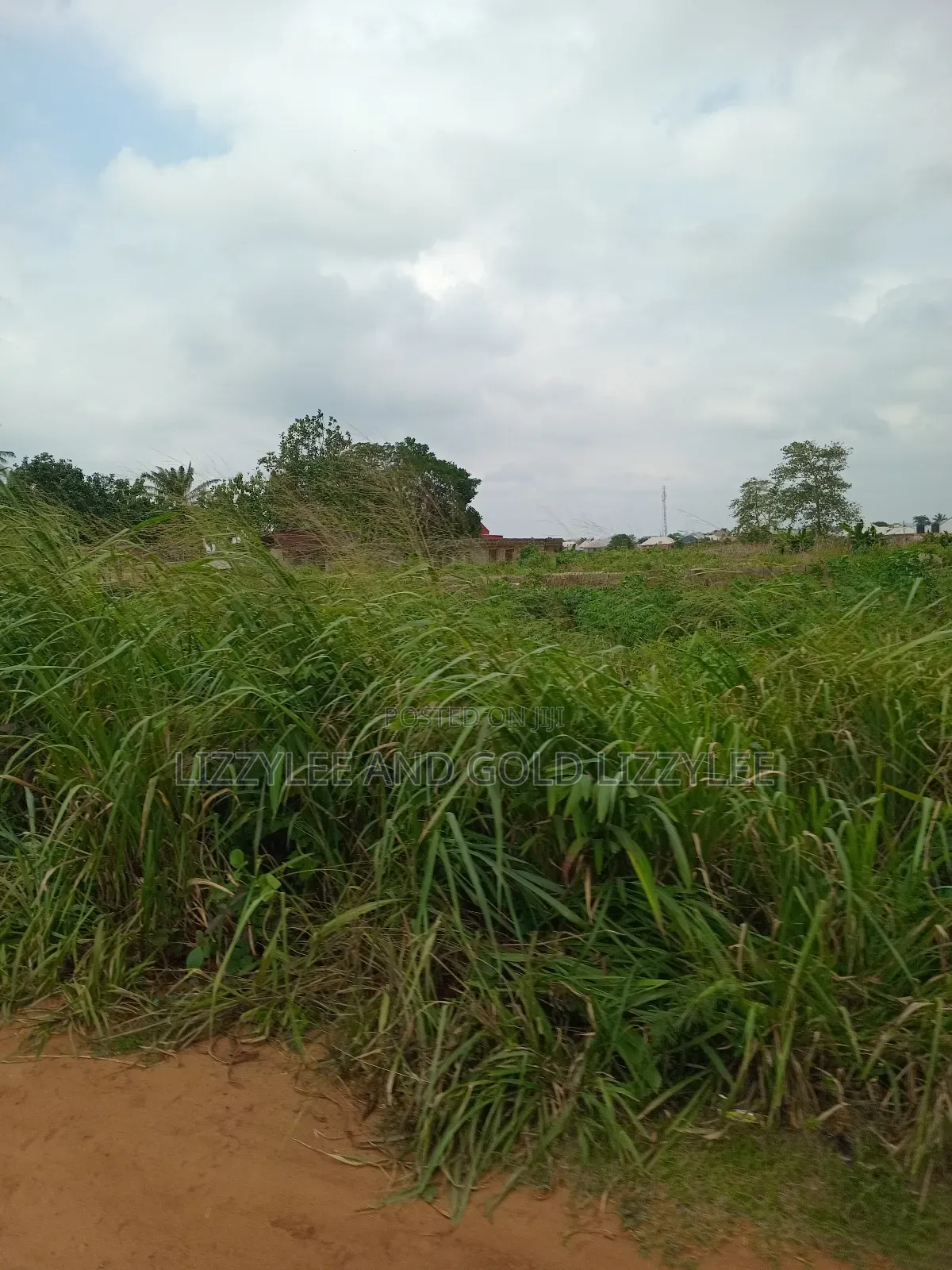 500 Acres Of Farmland For Sale in Ilaro