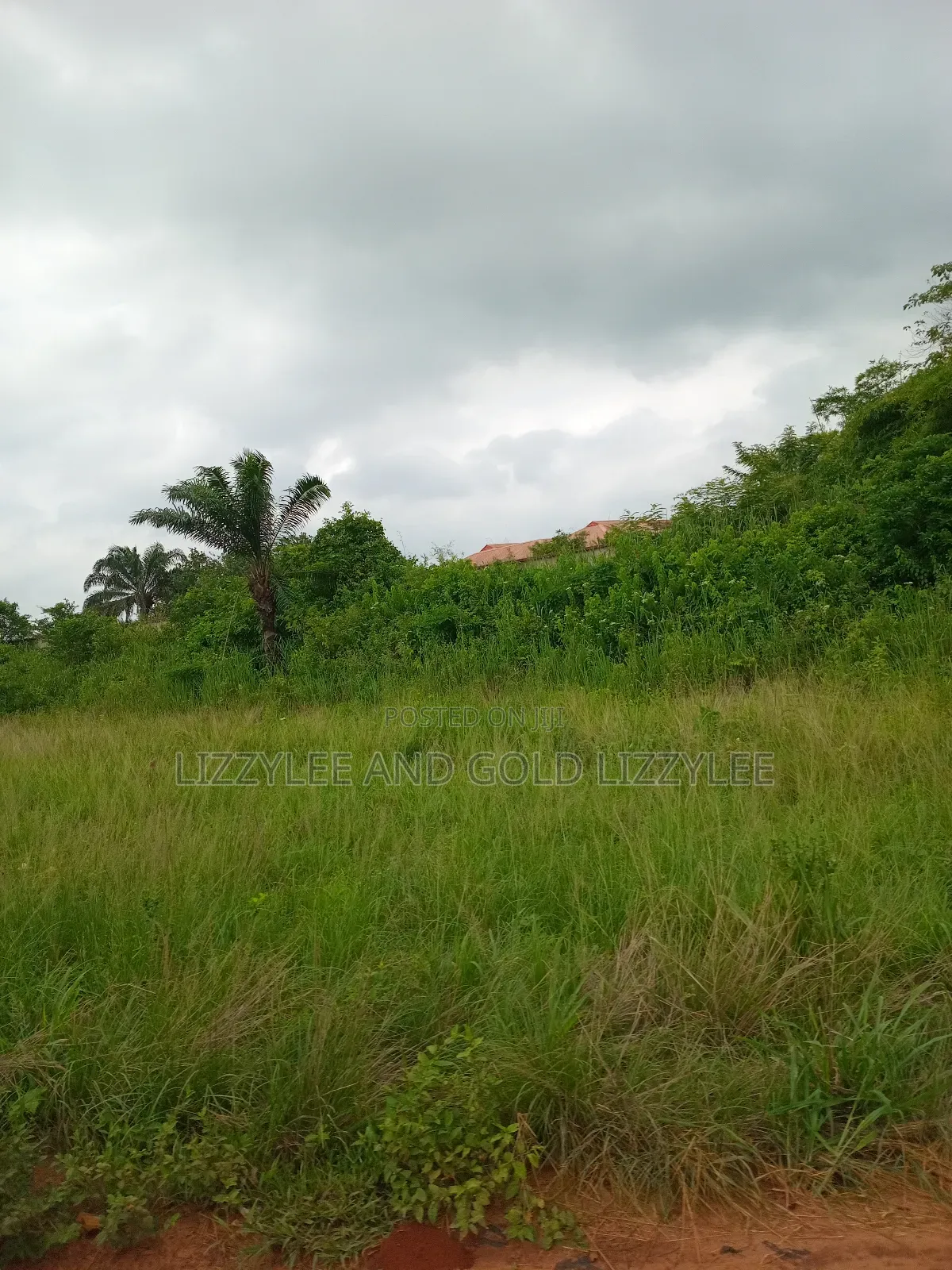 500 Acres Of Farmland For Sale in Ilaro