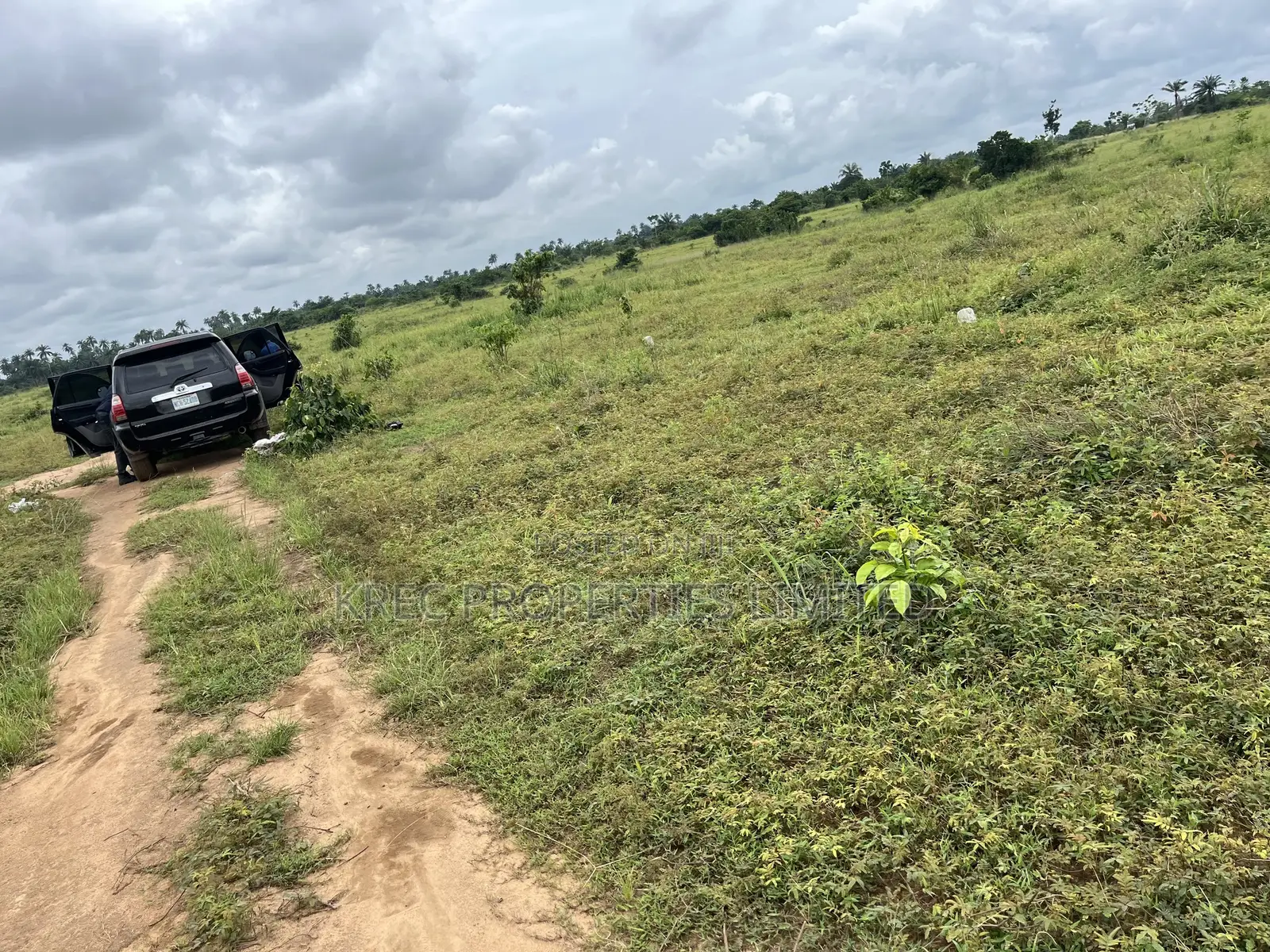 Dry-Land for Sale Very Nice in Ikwerre