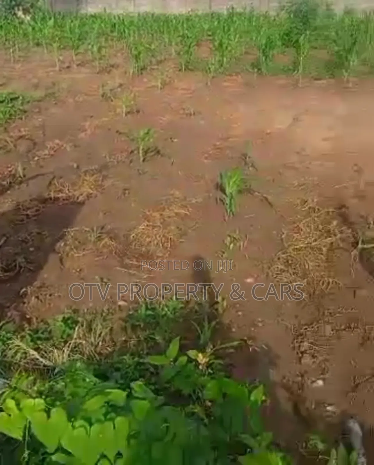 97.43 Hectares at Gousa District, Abuja in Garki 1