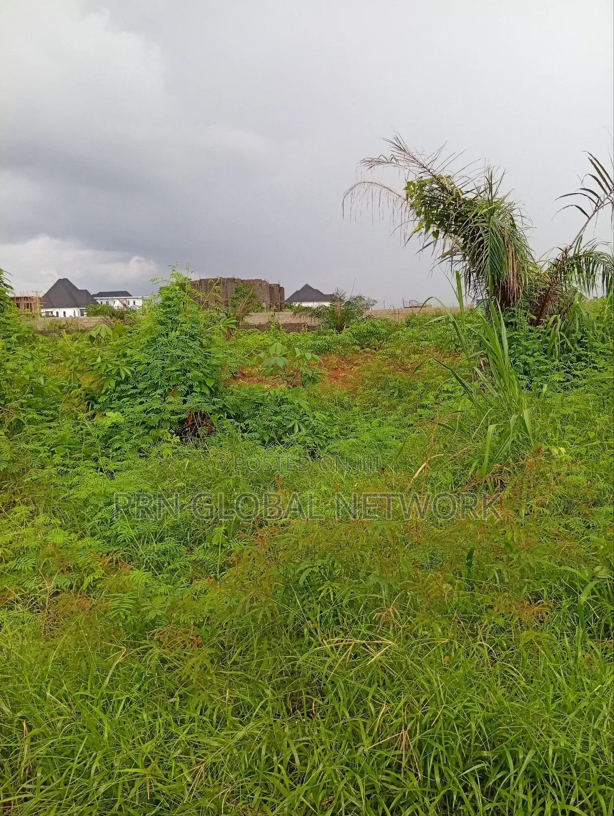 Sharp Plots of Land Available for Sale. in Owerri