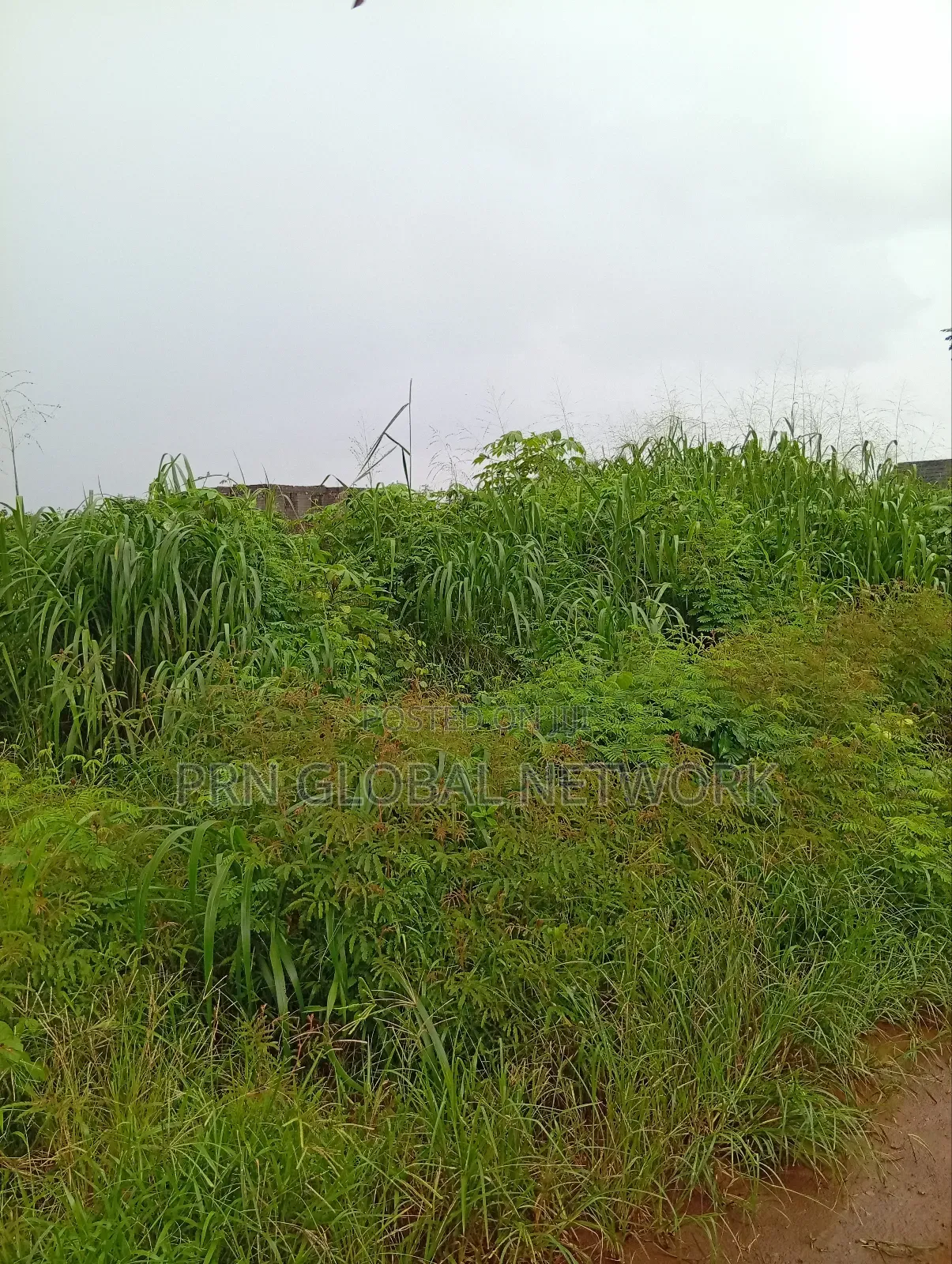 Sharp Plots of Land Available for Sale. in Owerri