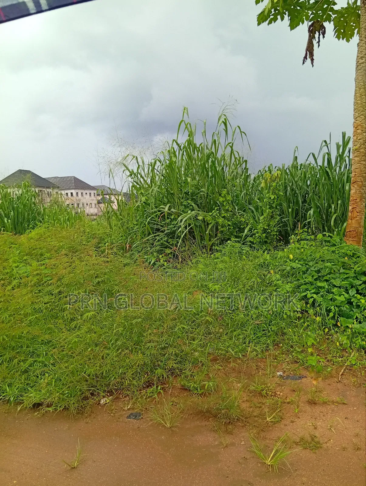 Sharp Plots of Land Available for Sale. in Owerri