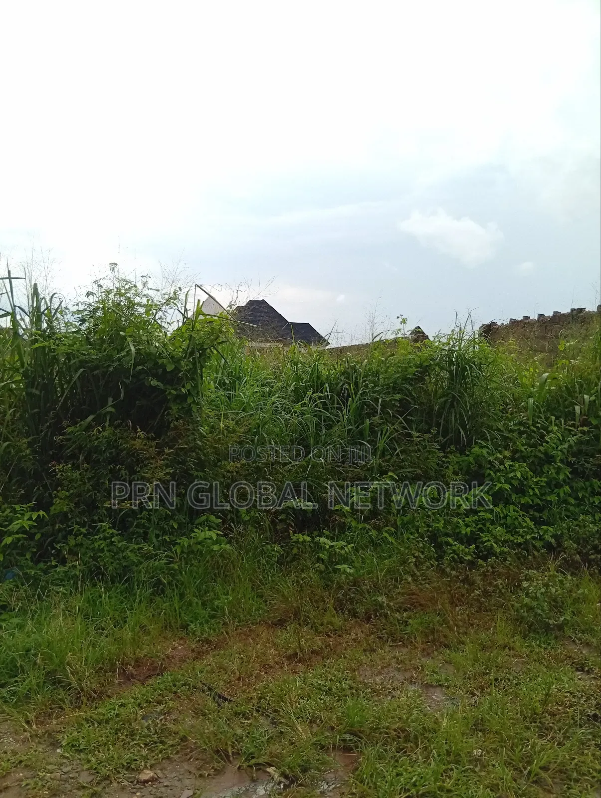 More Than 2 Plots of Land Waiting for a Buyer in Owerri
