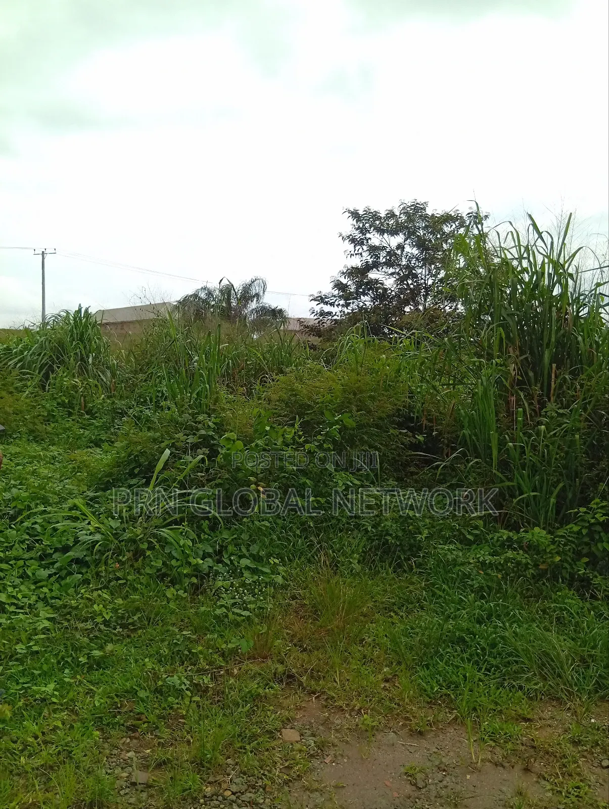 More Than 2 Plots of Land Waiting for a Buyer in Owerri