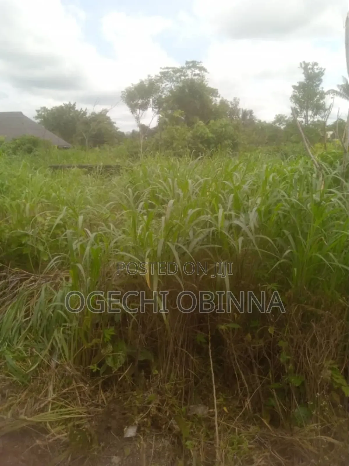 Distress Sale of Plots at Ulakwo Etche( Buy and Build) in Port-Harcourt