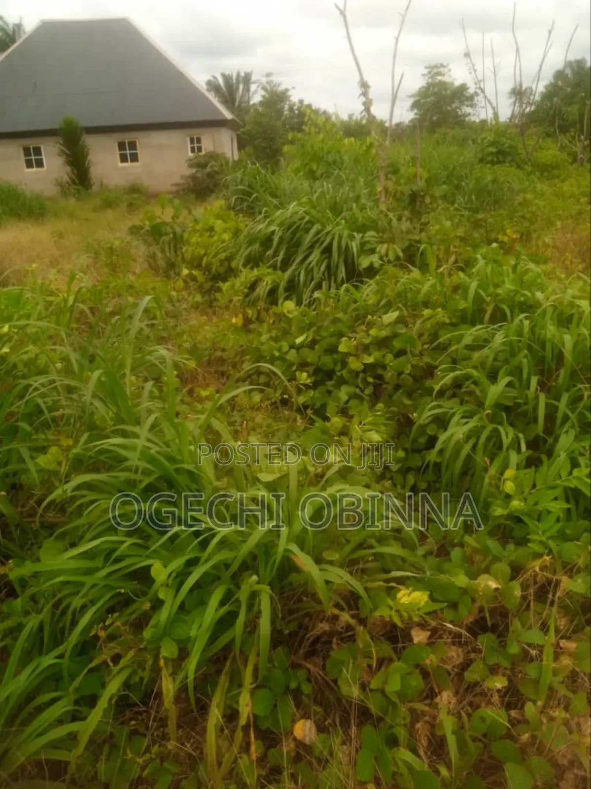 Distress Sale of Plots at Ulakwo Etche( Buy and Build) in Port-Harcourt