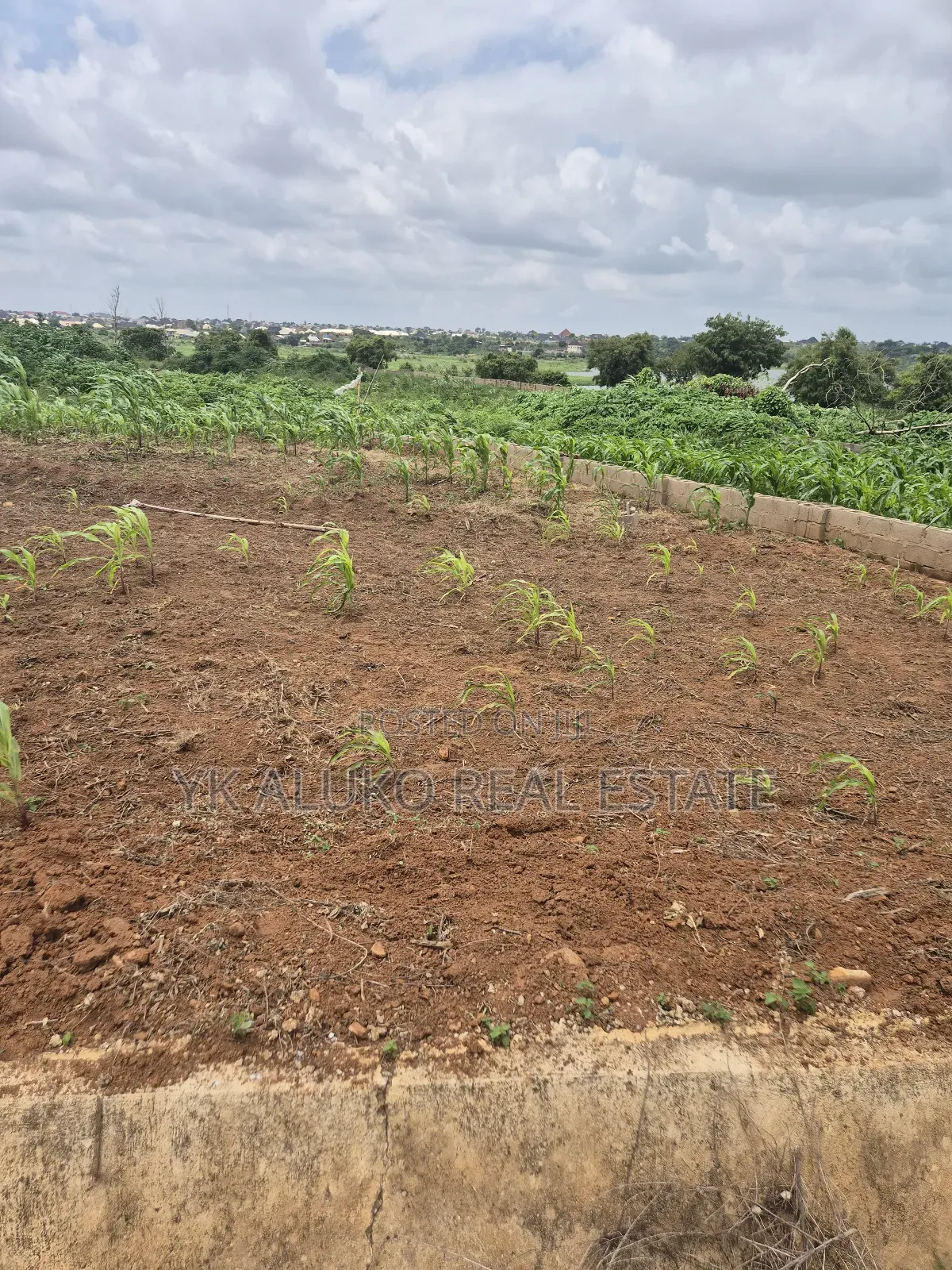 Global Certificate of Occupancy and Deed of Transfer in Ilorin West