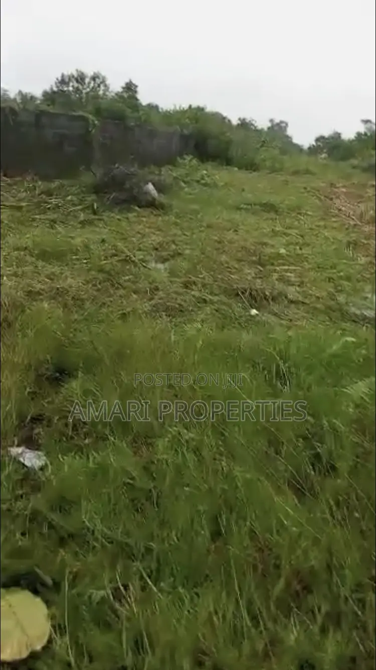 705sqm Dry Land For Sale In Majek in Ajah