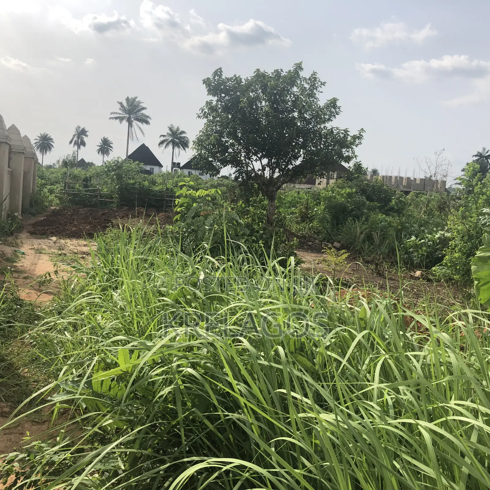 100ft by 100ft. 950 Sqm. Okpanam in Oshimili North
