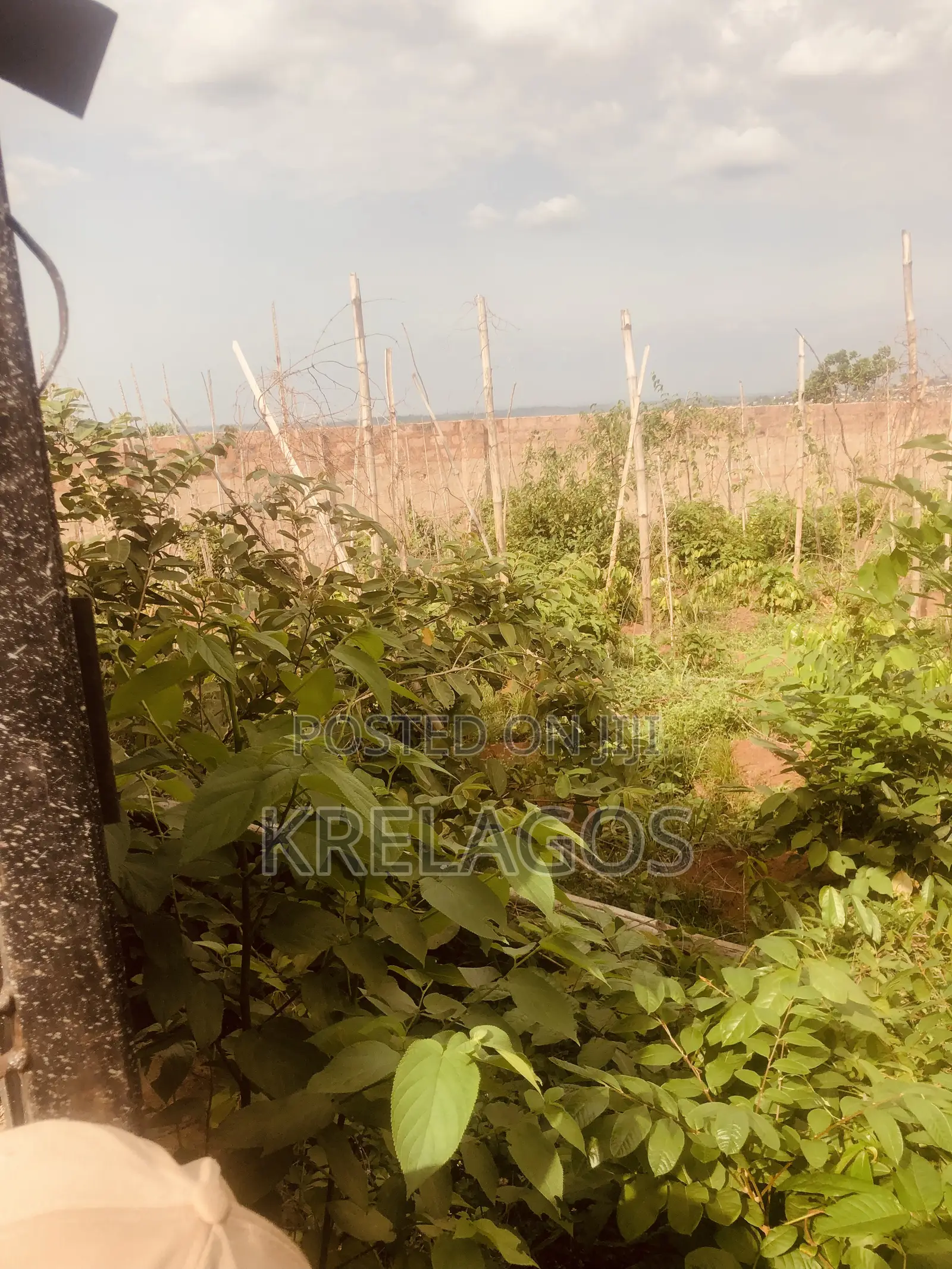 100ft by 100ft. Fenced With Gate. Okpanam. #35m in Oshimili North